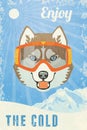 Winter Poster with Husky. Vector illustration, eps10.