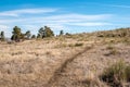 Winter on the Prairie Royalty Free Stock Photo