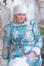 Winter queen in an abandoned castle. A beautiful woman in a winter suit Royalty Free Stock Photo