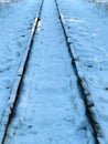 Winter railway rails in the snow. Rails go into the distance.