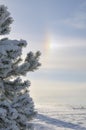 Winter rainbow halo