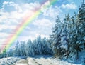 Winter, rainbow and landscape of forest with snow on trees in countryside, environment or woods. Sunshine, clouds or