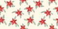 Winter rectangular seamless pattern on white background with hand drawn christmas tree branches, poinsettia