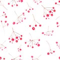 Winter red berries pattern. Seamless background