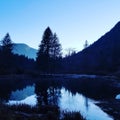 Winter reflection on the lake Royalty Free Stock Photo