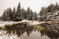 Winter reflection on the lake Royalty Free Stock Photo