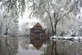 Winter Reflection in Snowy French Village