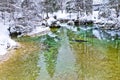 Winter reflections in a cold mountain stream, Slovenian Alps