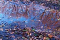 Winter reflections in rain puddle