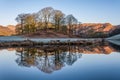 Winter reflections in River Brathay. Royalty Free Stock Photo