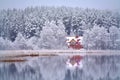 Snowy winter reflections .Lake Bijote,Lituania