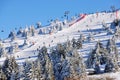 Winter resort Kopaonik, Serbia Royalty Free Stock Photo