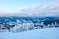 Winter rime and snow covered fir trees branches on mountainside on blue sky background on sunrise. Pine trees after