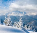 Winter rime and snow covered fir trees on mountainside Carpathian Mountains, Ukraine Royalty Free Stock Photo