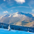 Winter rime and snow covered fir trees on mountainside Carpathian Mountains, Ukraine Royalty Free Stock Photo