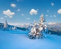 Winter rime and snow covered fir trees on mountainside (Carpathian Mountains, Ukraine Royalty Free Stock Photo