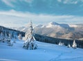 Winter rime and snow covered fir trees on mountainside (Carpathian Mountains, Ukraine Royalty Free Stock Photo