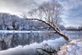 Winter river Royalty Free Stock Photo