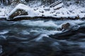 Winter river in Capcir, Cerdagne, Pyrenees, France Royalty Free Stock Photo
