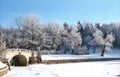 Winter river with old bridge Royalty Free Stock Photo
