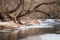 Winter River Scene with Fallen Trees Reaching Over Royalty Free Stock Photo