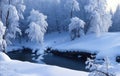 Winter river in snow forest landscape. Frozen river water in winter