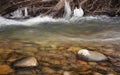 Winter river, water flowing under ice covered trees, low angle photo long exposure photo, focus on stones in foreground Royalty Free Stock Photo