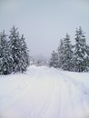 Winter Road Royalty Free Stock Photo