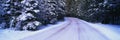 Winter Road Royalty Free Stock Photo