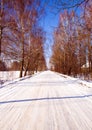 Winter road Royalty Free Stock Photo