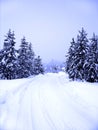 Winter Road Royalty Free Stock Photo