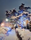 Winter road with christmas illuminations