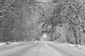 Winter road in the countryside Royalty Free Stock Photo