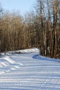 Winter road in elk island Royalty Free Stock Photo