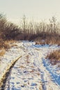 Forest roads and trails in beginning of winter. Royalty Free Stock Photo