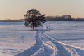 Beautiful winter landscape. Winter road. Royalty Free Stock Photo