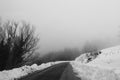 Black and white foggy snowy landscape in winter