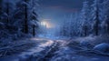 Winter road in the forest in the evening Royalty Free Stock Photo