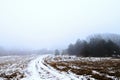 Winter road in the forest in misty day Royalty Free Stock Photo