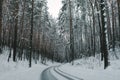 Winter road and forest