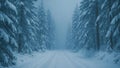 winter road through forest with snowfall snowy pine trees and cold winter landscape outdoors Royalty Free Stock Photo