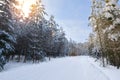 Winter road through the forest and the sun`s rays Shine through the trees