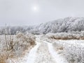 Winter road in forest. Trees covered of hoarfrost in winter in forest Royalty Free Stock Photo