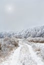 Winter road in forest. Trees covered of hoarfrost in winter in forest Royalty Free Stock Photo