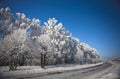 Winter road with frosted trees and rime