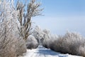 Winter road with frosted trees and rime