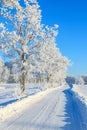 Winter road with frosty trees Royalty Free Stock Photo