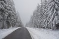 Winter road in Germany landscape Royalty Free Stock Photo