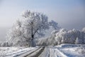 Winter road landscape frosted trees rime