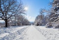 Winter road landscape with snow covered trees and bright sun Royalty Free Stock Photo